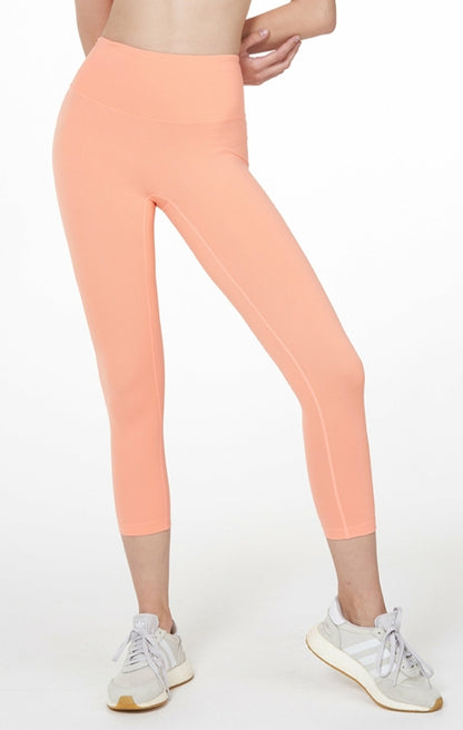 Copy of Hybrid Cloudlux Capri Legging 20"